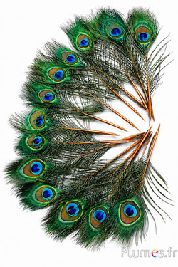 Pavone blu miniatura - 15-25 cm - dorato azteco